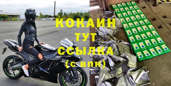 шишки Балабаново