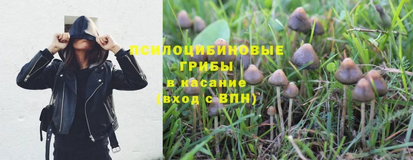 шишки Балабаново