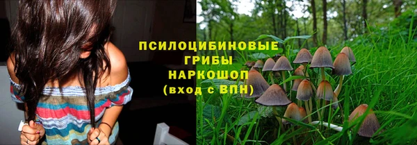 шишки Балабаново