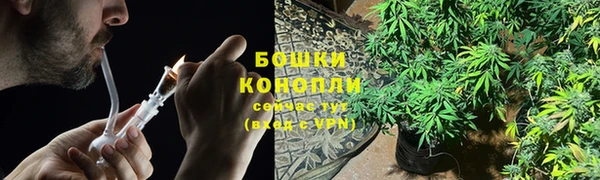 шишки Балабаново