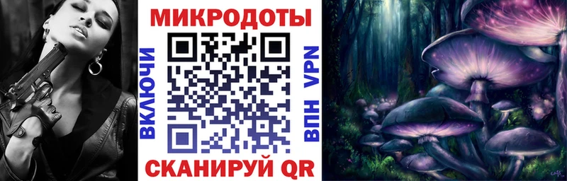 Псилоцибиновые грибы мухоморы Сосновый Бор
